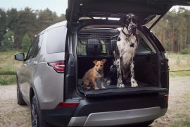 Land Rover Hunde Transportsystem 2018